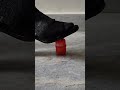 Oddly Satisfying Crushing Crunchy Soft things With Heels #highheels