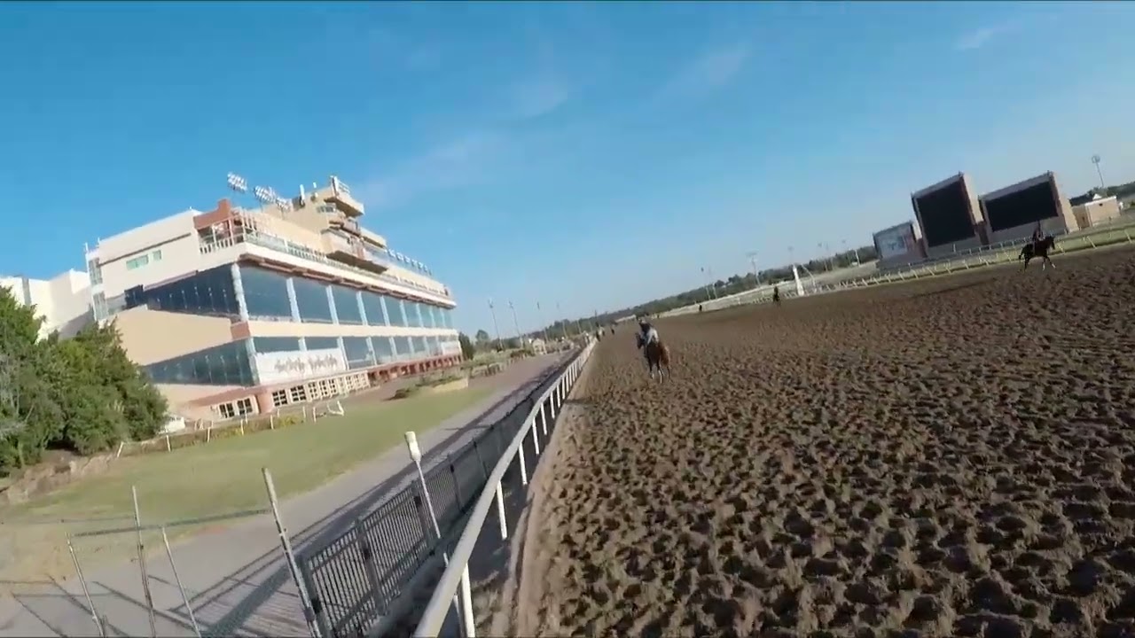 Savvy, Thunder & Princess  October 23rd, 2025