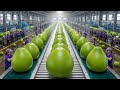 Inside a Modern World’s Largest Pomelo Processing Factory | Full Process