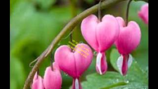 DONT CRY OUT LOUD-Rachelle Ann Go ( lyrics )