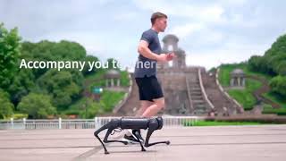 Spot Robot dog - Killer alternative from Unitree under 10K