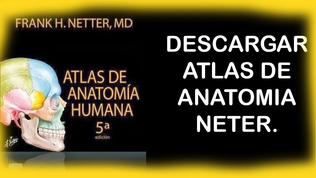 Featured image of post Atlas De Anatomia Humana Netter Pdf Agora traduzido em 16 idiomas o atlas de anatomia de escolha entre os estudantes das profiss es m dicas e de sa de de todo o mundo