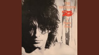 Video thumbnail of "The Waterboys - Rags (2002 Remaster)"