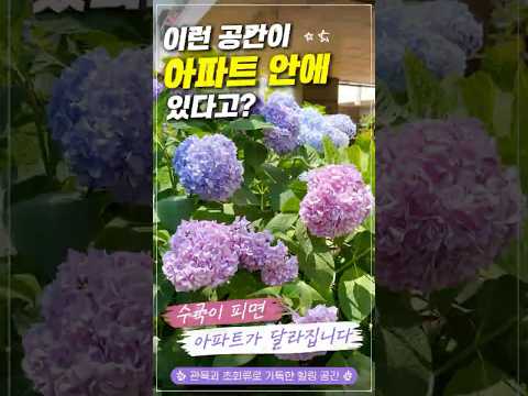 이런 공간이 아파트 안에 있다고? 🌸