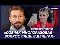Чичваркин о продажном презервативе Жириновском, новом гей-хите Шамана и Zигующем Цое