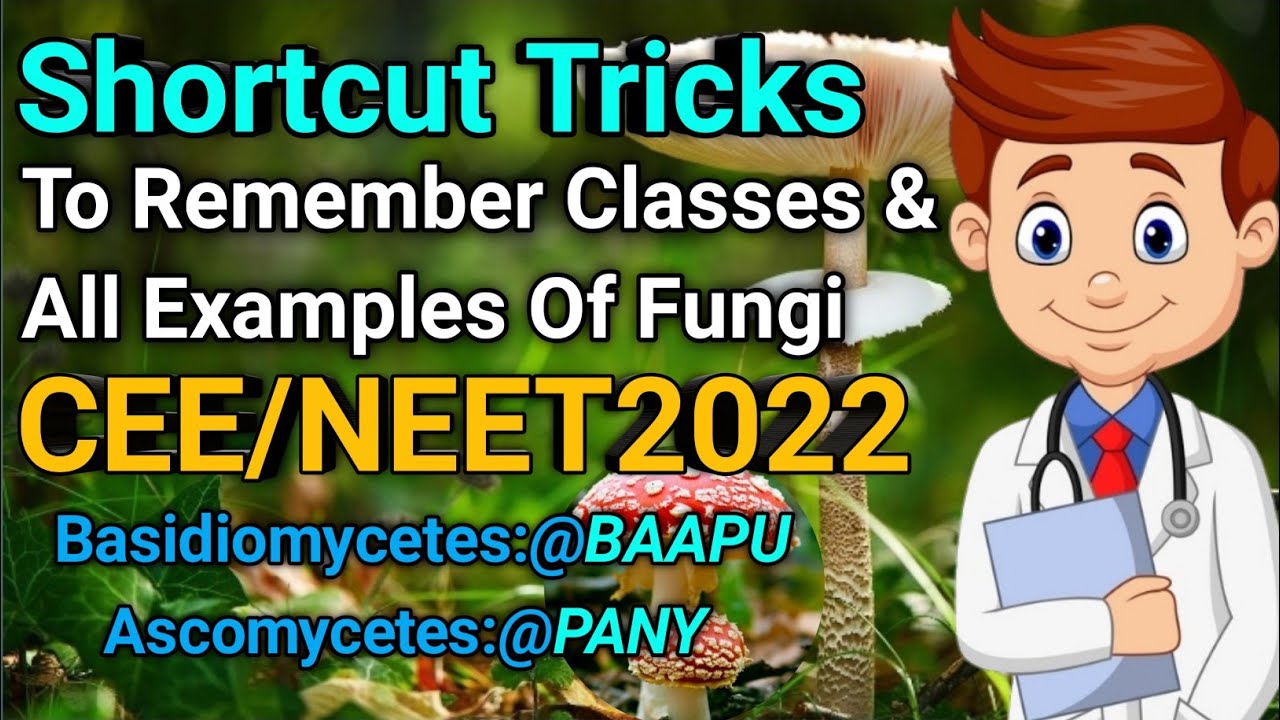 How To Remember Examples of Kingdom Fungi|Shortcut Tricks CEE/NEET(