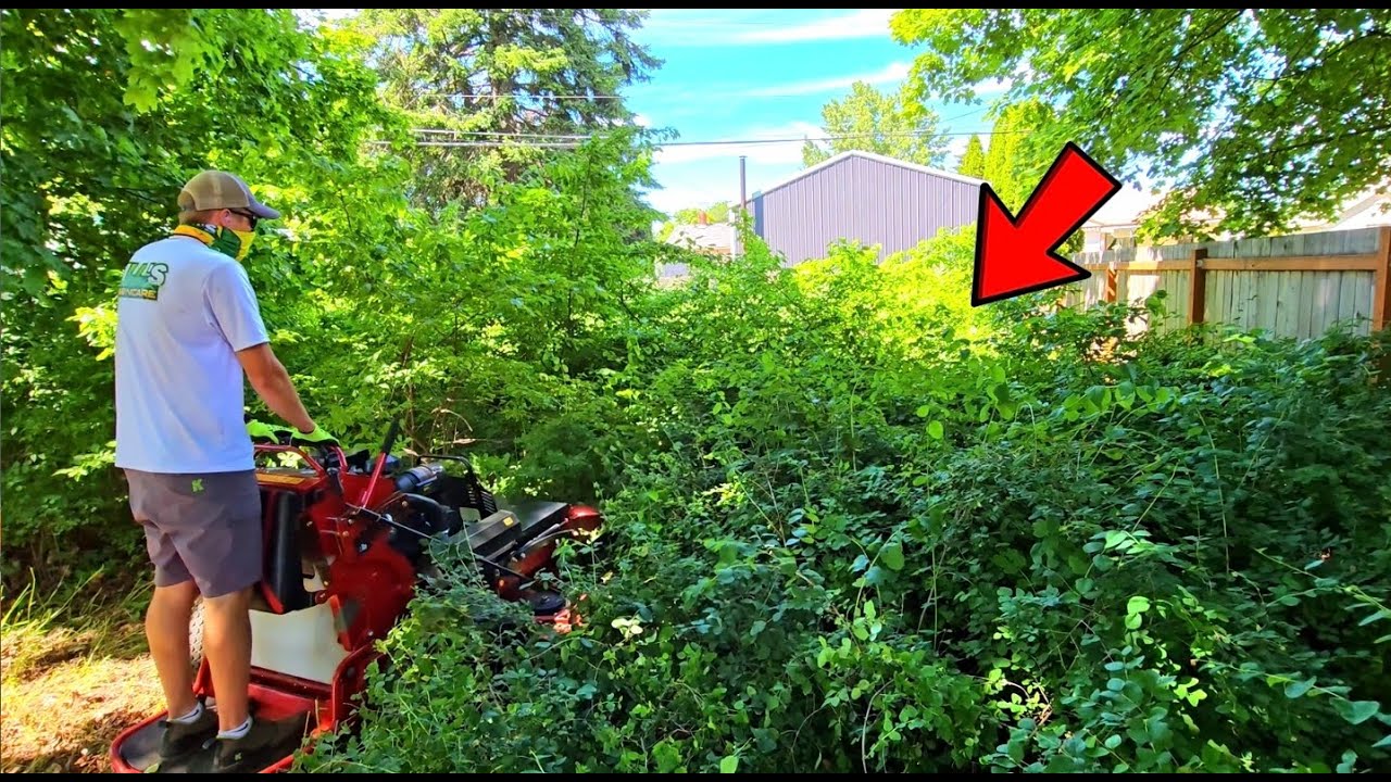 YOU WOULD RUN After Finding This BURIED In The Back...