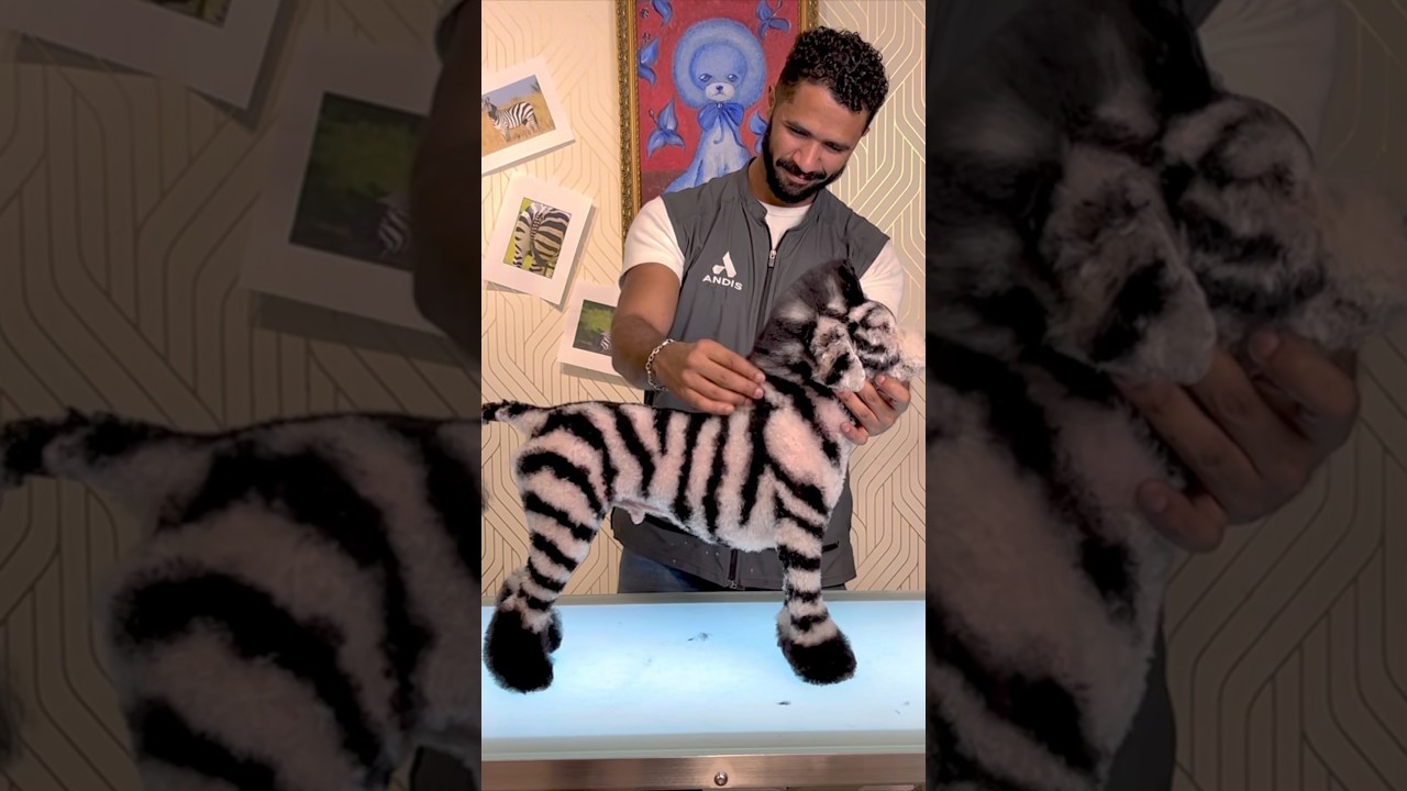 Re-Zebra-fying Buddy!