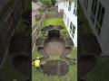 This Giant Frog Pool Looks Unreal Wait Till It Lights Up