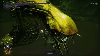 hellpoint Queen slug bug solution