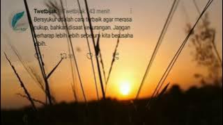 video story wa quotes sholawat merdu