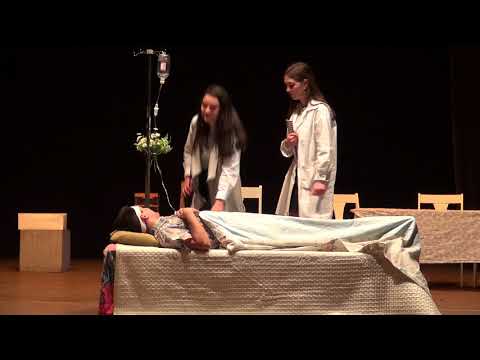 \"ყვავილები ელჯერნონისთვის\"- თავისუფალი ვალდორფის სკოლის მე-11 კლასის სპექტაკლი (მეორე დღე)