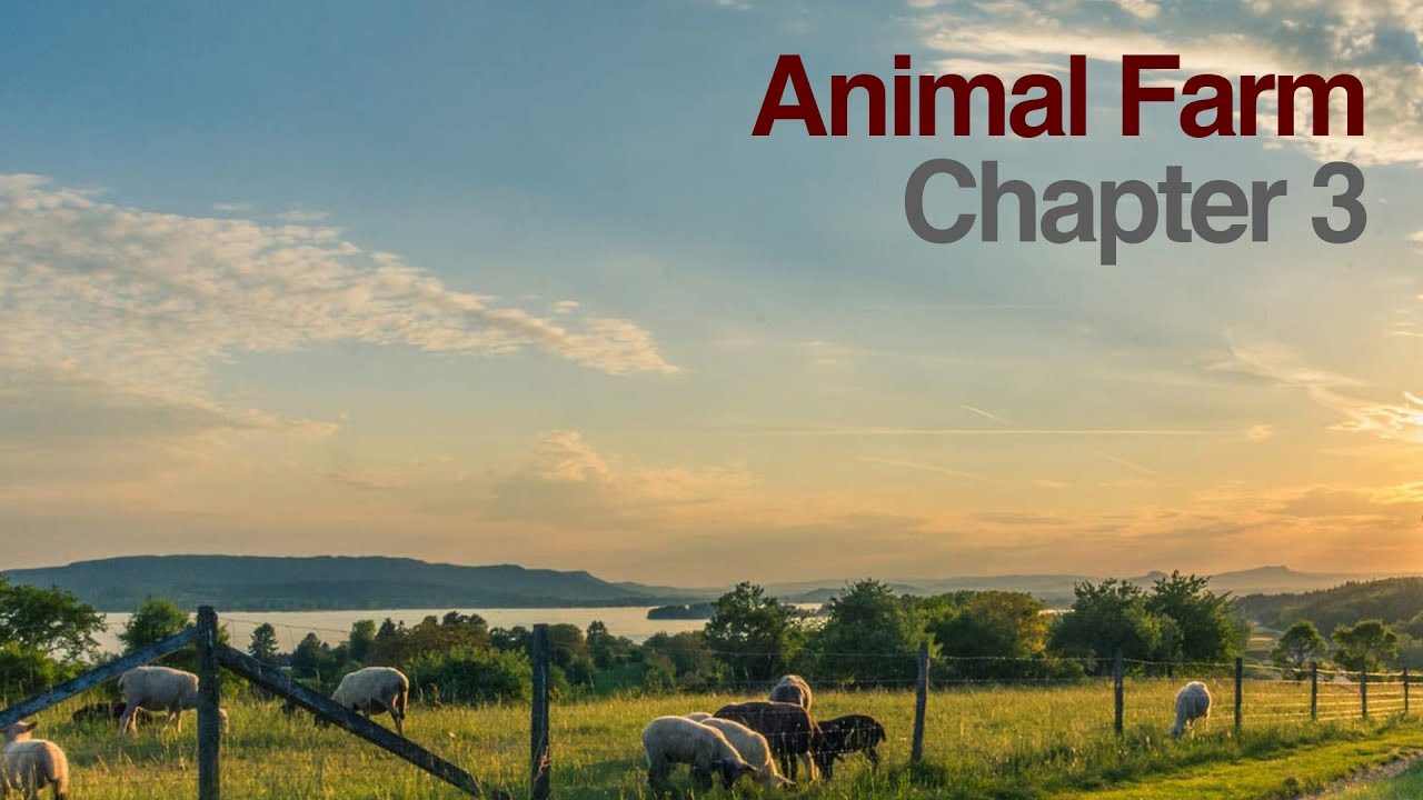 Animal Farm Chapter 3 - YouTube