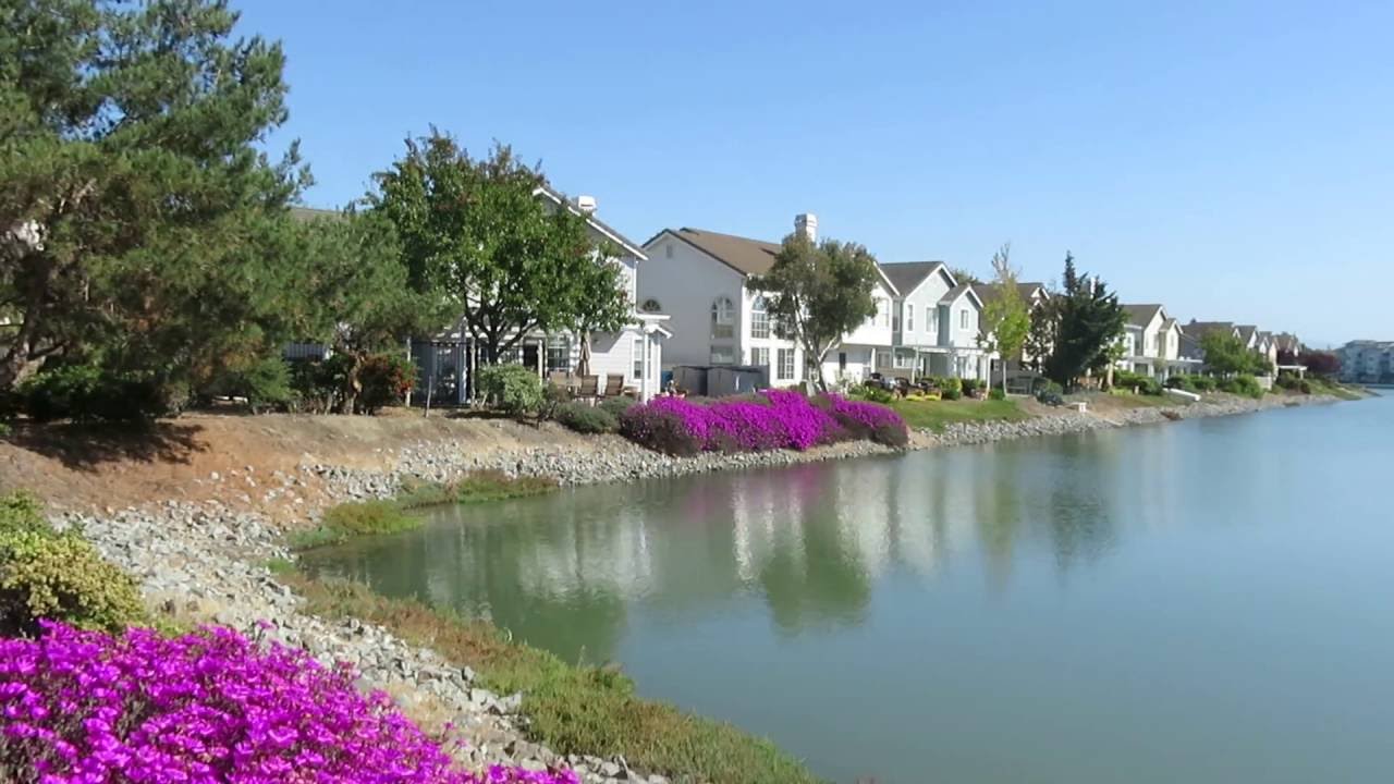 Redwood Shores neighborhood California YouTube