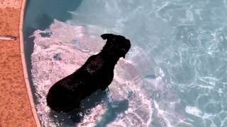 Buddy Swimming in without a Life Jacket