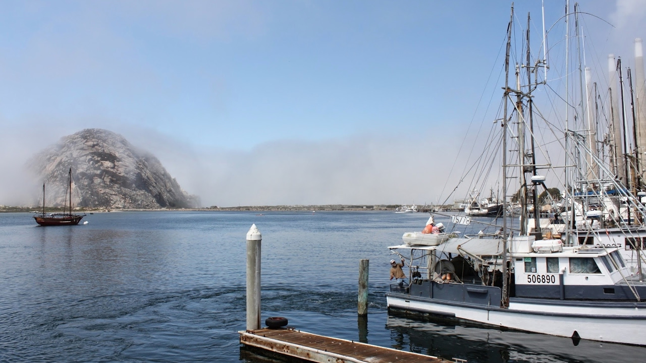 Прямая трансляция пользователя Дистант ИППО МГПУ