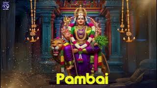 Pambai - D.V.Ramani | Senkadhirvaanan