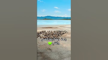 روائع القارئ محمد الفقيه من اليمن 🇾🇪من سورة الحج..⚘️#انشروا_القران