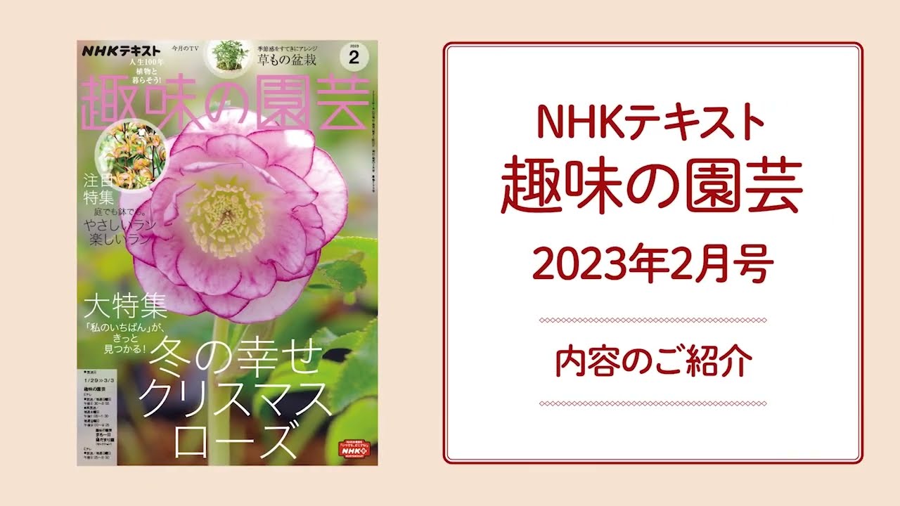 NHK趣味の園芸 雑誌 大量まとめ売り 植物 多肉植物 薔薇 パンジー ガーベラ