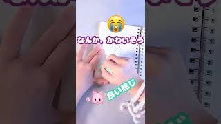 新品の『すみっコぐらしの消しゴム』ちゅうちょなく使う！？きらちゃん