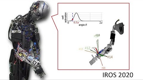 IROS 2020 Biomimetic Control Scheme for Musculoskeletal Humanoids Based on Motor Directional Tuning
