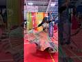 Garba and me #trending #dance #youtubeshorts #youtube #garba #navratri #garbadance #viral #shorts