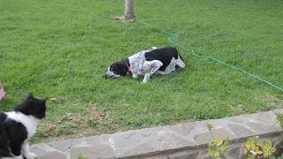 DSC 0025