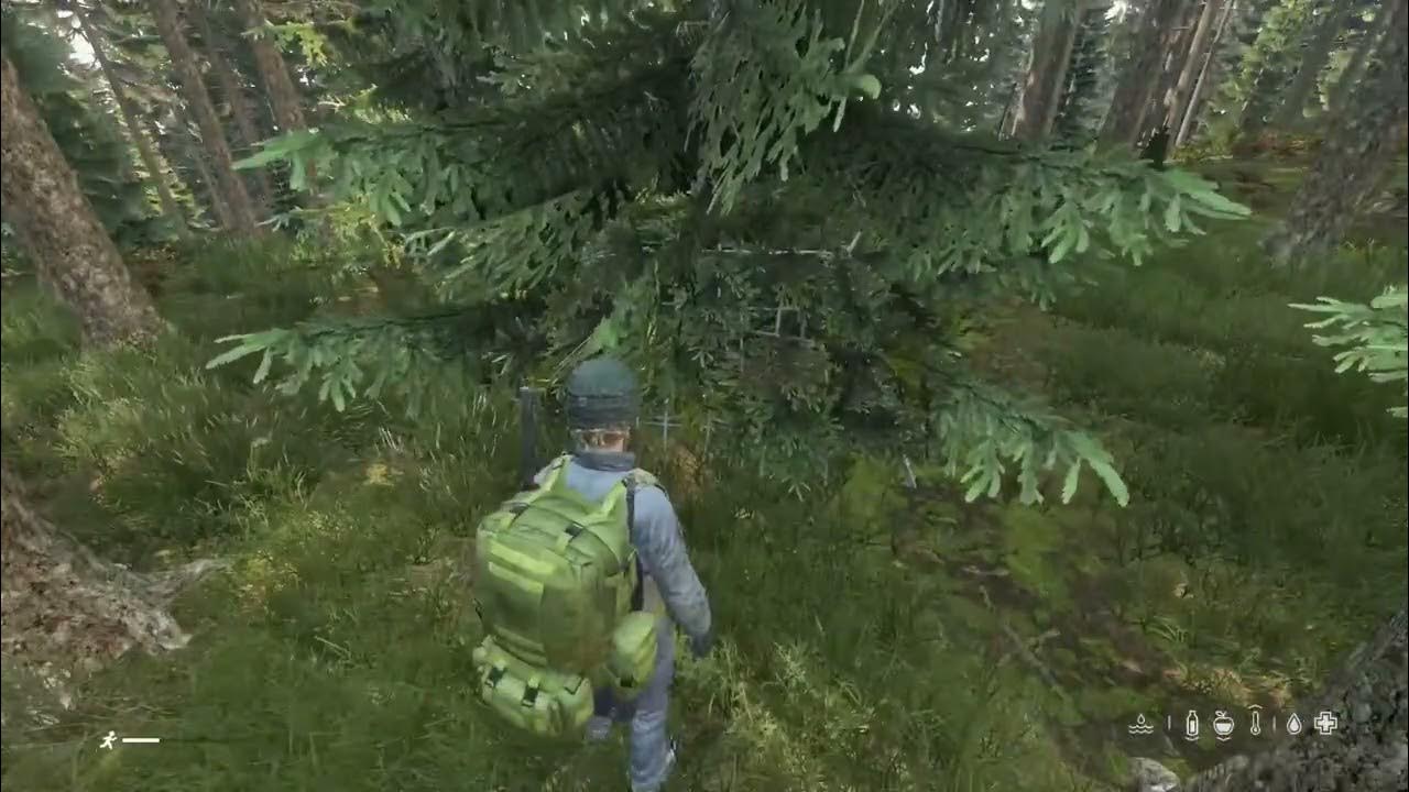 DayZ v1.20 Improvised shelter hidden in pine tree. DayZ Stealth