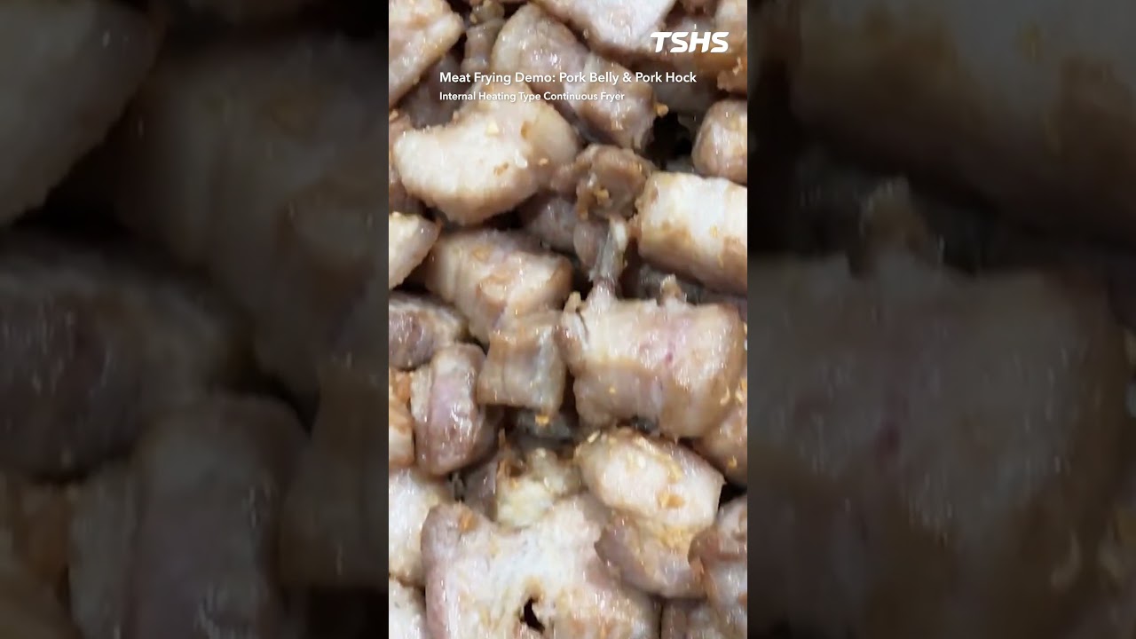 Meat Frying Demo: Pork Belly & Pork Hock | Internal Heating Type Continuous Fryer｜Tsunghsing(TSHS)