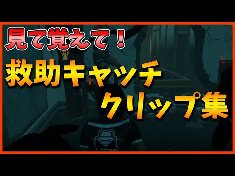 Dbd 見て覚えて 救助キャッチクリップ集 Vol 1 デッドバイデイライト Youtube