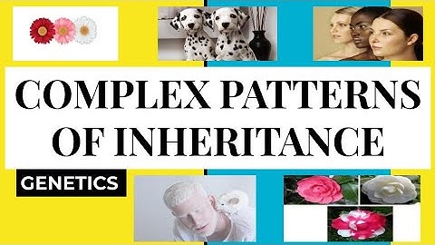 COMPLEX PATTERNS OF INHERITANCE | INCOMPLETE DOMINANCE, CODOMINANCE, POLYGENIC TRAITS, EPISTASIS