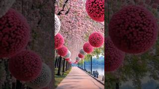 Most Beautiful Places On Earth