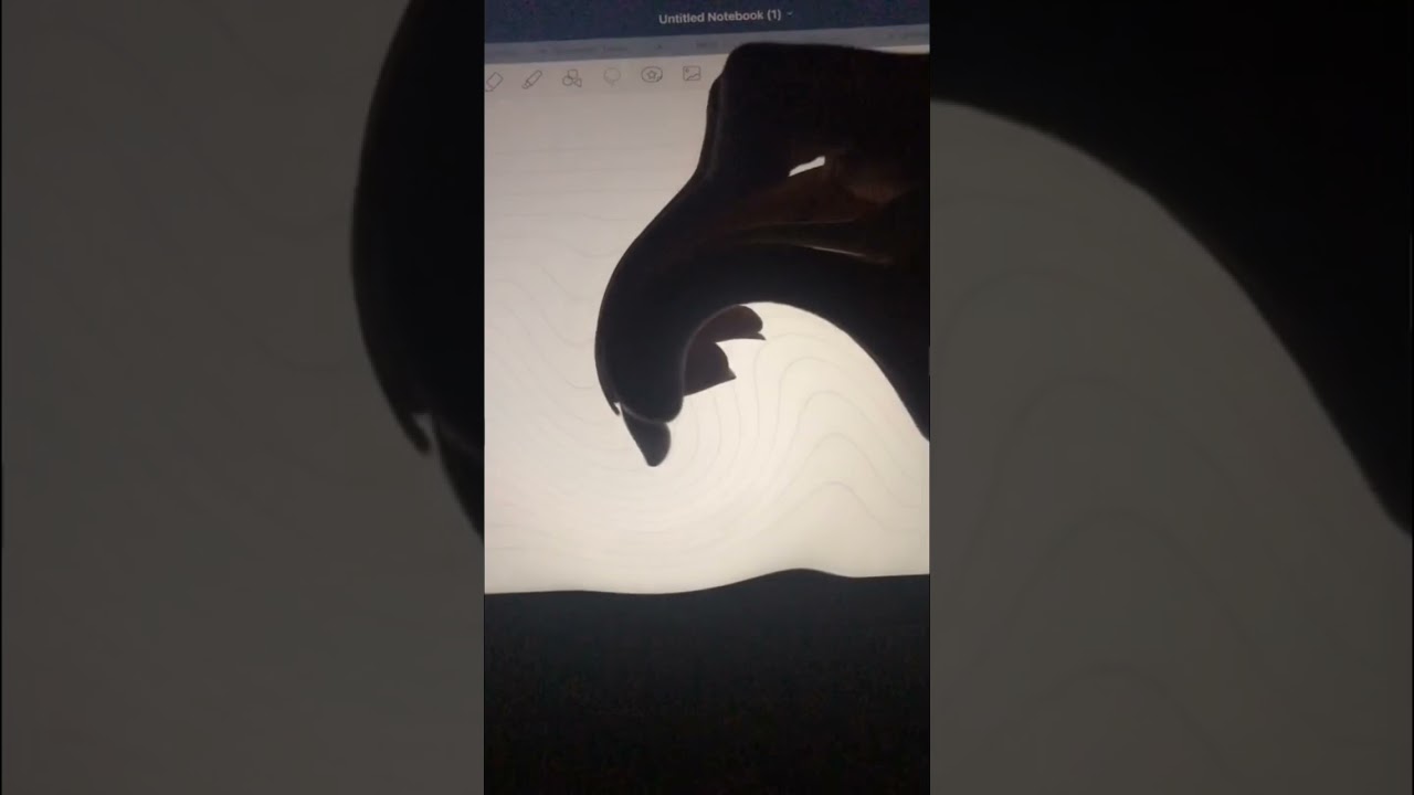 whirlpool filter challenge 