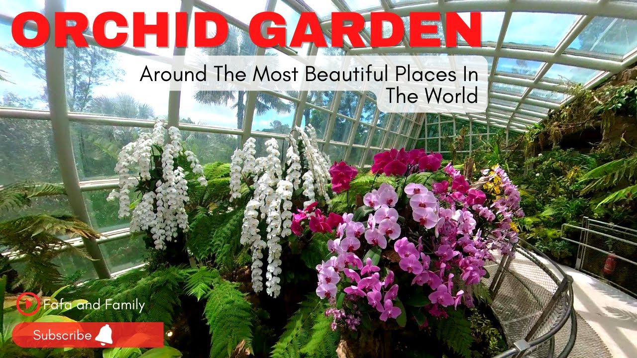 Orchid Garden Singapore at Botanic Garden, is home to over 60,000
