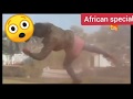 Movie Za Kihindi Zimezidi Uongo Movie Za Kihindi Zimezidi Uongo