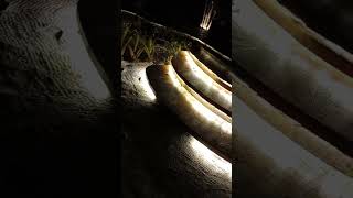 Instalao Mangueira De Led