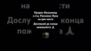 Дослушай до конца #мекка #quran #чудоислама #коран #surahqamar #путьислама