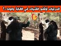 شاهدو ما فعلته فتيات مع اصدقائهم في الغابة والدركيات والدرك الوطني يتدخلون ويداهمون الغابة ربي يعفو 