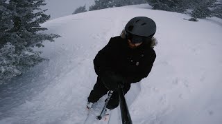 Skiing Winter Wonderland Powder