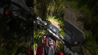 singletrack singletrail Carcavelos de Lousa trilhos da prova de Enduro