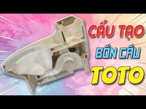 Video: Nhà vệ sinh hoạt động như thế nào? Các loại và kiểu dáng của bồn cầu