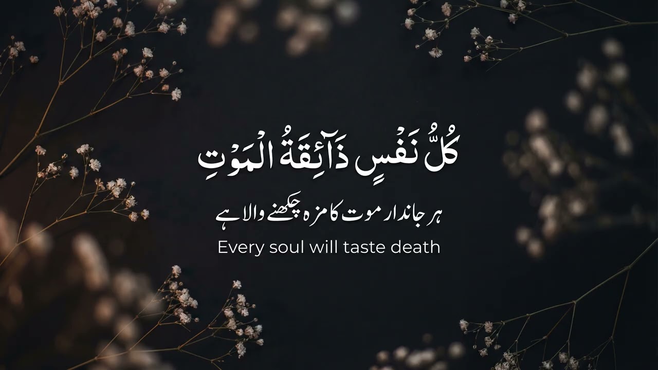 Kullo nafsin zaikatul maut  Beautiful Quran Recitation 