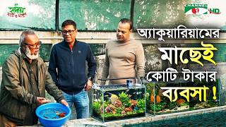 অ্যাকুয়ারিয়ামের মাছেই কোটি টাকার ব্যবসা! | Shykh Seraj | Channel I |