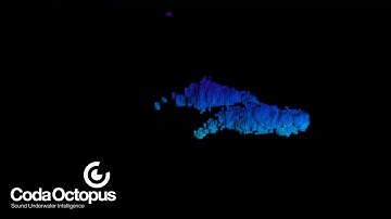 Video of Orca Whales using the Coda Octopus Echoscope®