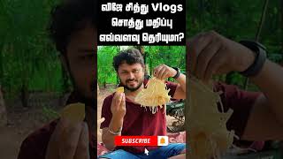 VJ Siddhu Vlogs Networth | விஜே சித்து Vlogs சொத்து மதிப்பு #shorts #vjsiddhuvlogs