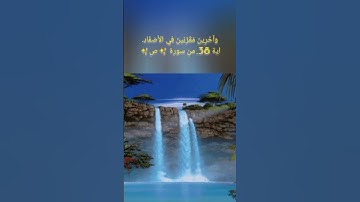 الايات من 34 الى 40. من سورة ✨ص✨