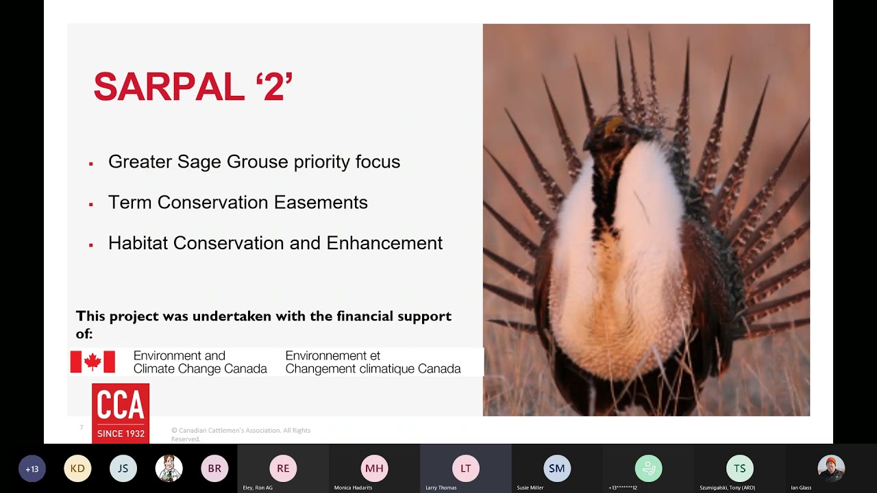 How Beef is a Conservation and Sustainability Solution in Canada