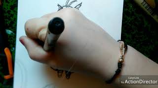 Speed Drawing Holo E And Wolf