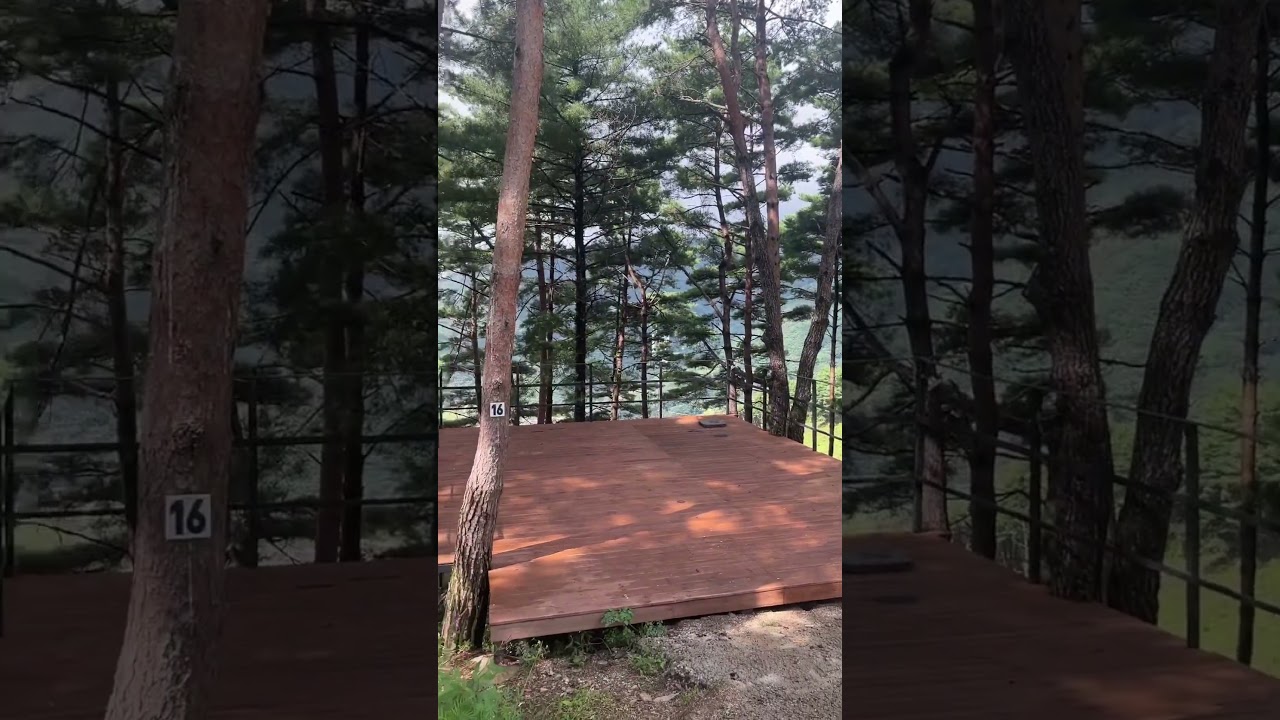 영월 구름품은 캠핑장 13번 데크뷰