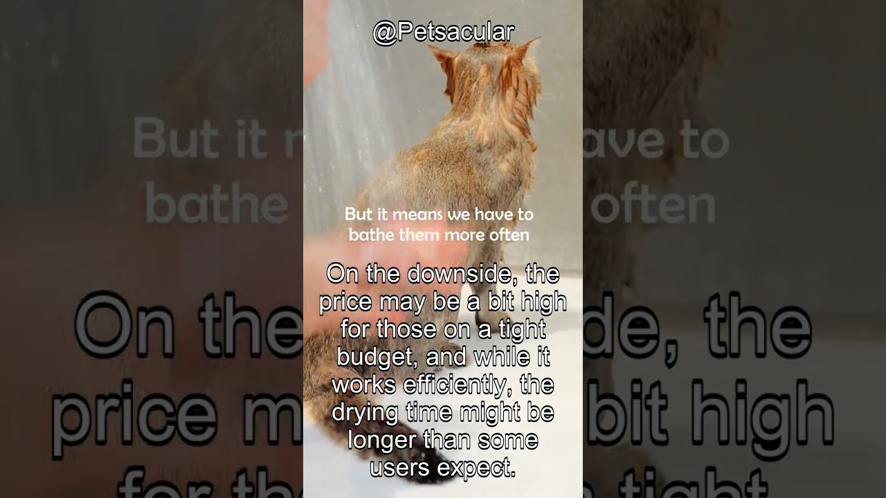 HomeRunPet Drybo Plus Review: Ultra Quiet, Smart Dryer for Cats & Small Dogs – Worth It?